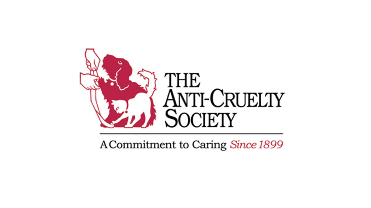 The Anti-Cruelty Society | Chicago Learning Exchange